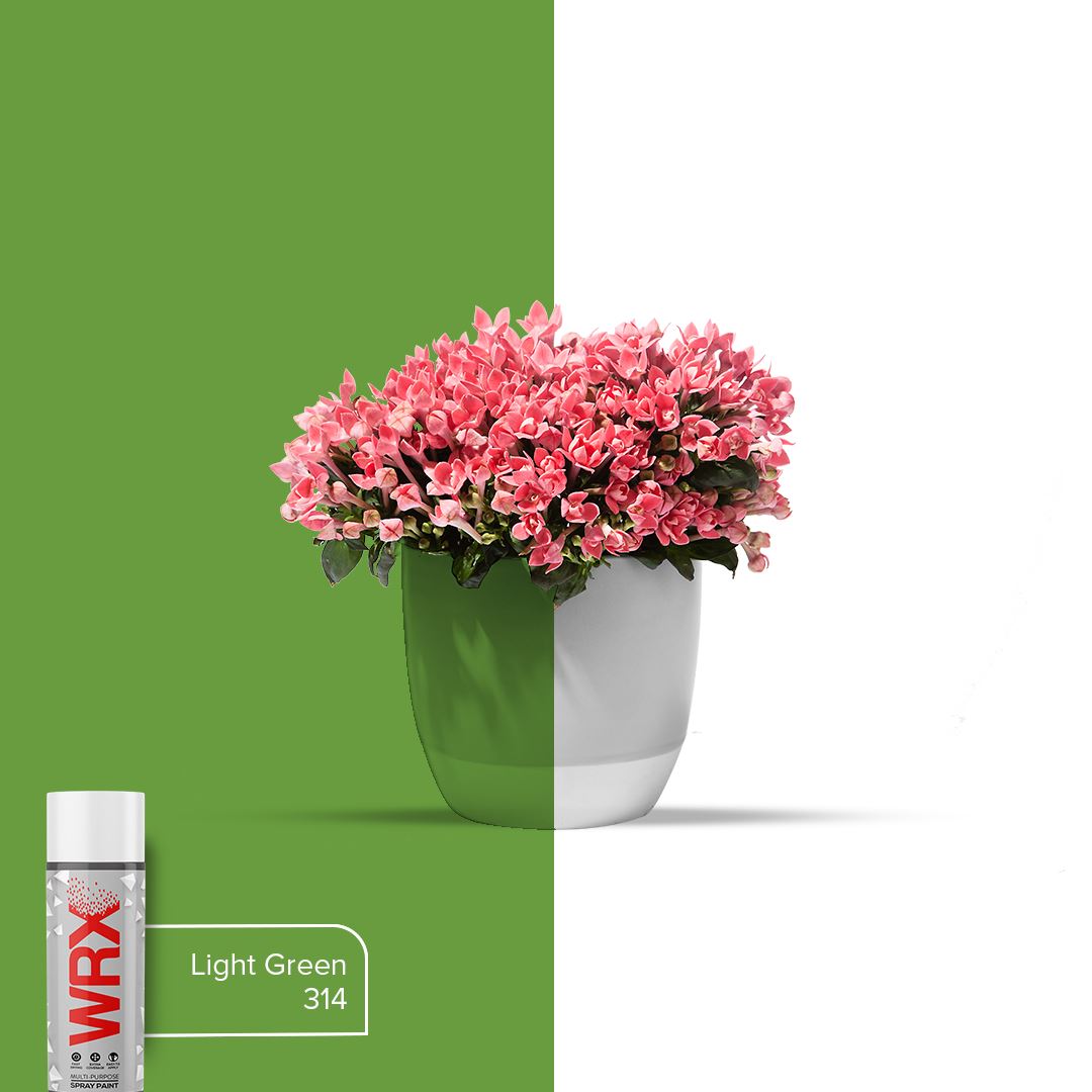 WRX Flat Light Green 314 Spray Paint 400ml